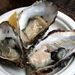 20081101_boroughmarket_101